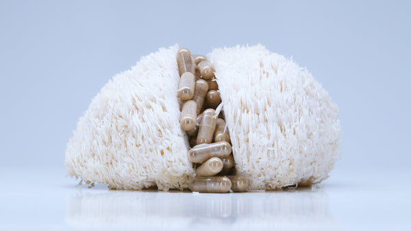 What’s the Ideal Dose of Lions Mane Mushrooms?