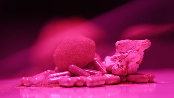 Pink image of Lion's Mane in different forms: capsules and raw mushroom. 