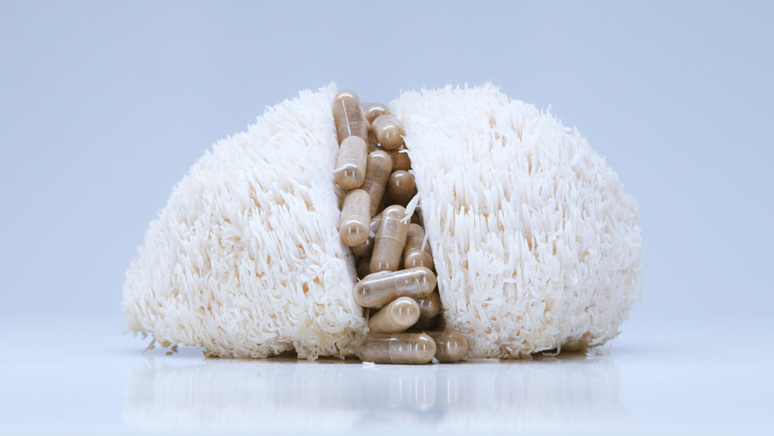 What’s the Ideal Dose of Lions Mane Mushrooms?