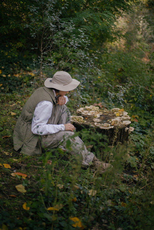 How TwentyTwo grow lions mane in the UK