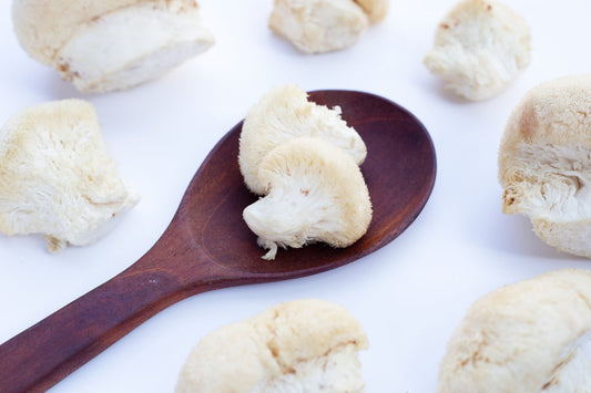 Lion’s Mane & Testosterone: How Does This Wonder-Mushroom Work?