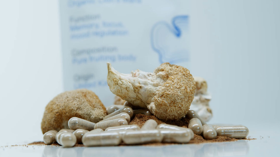 Mushroom Coffee vs. Lion’s Mane Mushroom Capsules: Understanding the Difference