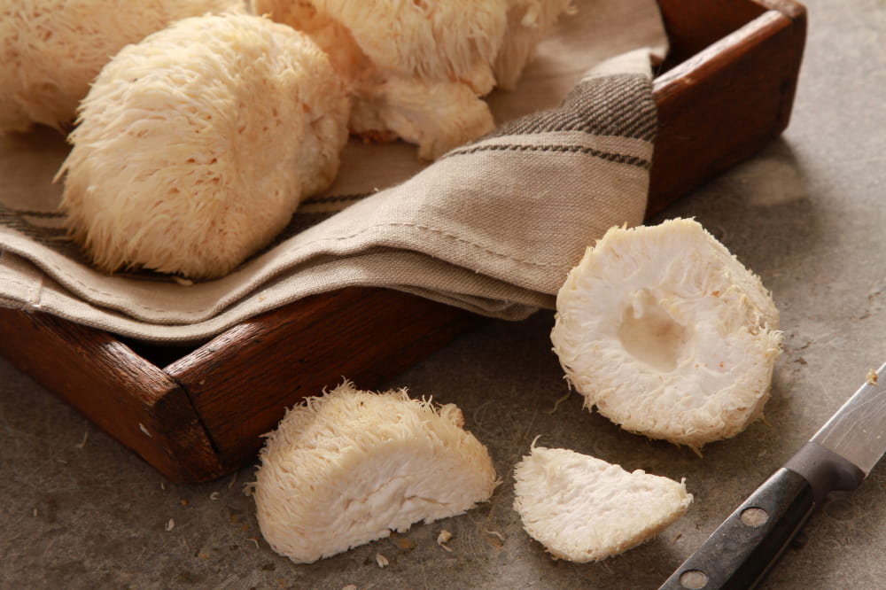 Sliced Lions's Mane mushrooms before person decides when to take lion's mane