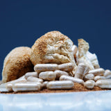 picture of lions mane mushrooms and capsules on worktop
